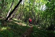 14 Nel bosco di prevalenti carpini neri